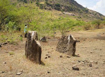india/tamil-nadu/landmark/dolmonoid-cist