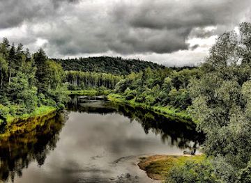 latvia/teici-nature-reserve/landmark/latvian-academy-of-sciences-observation-deck