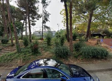 turkiye/trabzon/ortahisar/landmark/tarihi-cinar