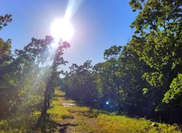 arkansas/pinnacle-mountain-state-park/landmark/pinnacle-view-trail