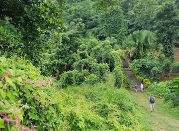 dominica/emerald-pool/landmark/dominica-botanical-gardens
