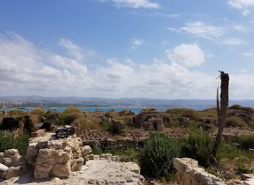 lebanon/south-lebanon/landmark/ruins-of-tyre-the-egyptian-port
