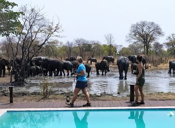 botswana/maun/landmark/kalahari-breeze-safaris