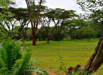 zimbabwe/bvumba-botanical-gardens/landmark/harare-botanical-gardens