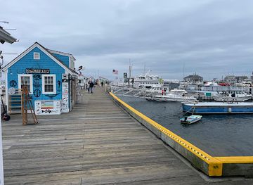 massachusetts/provincetown/landmark/provincetown-seal-tours