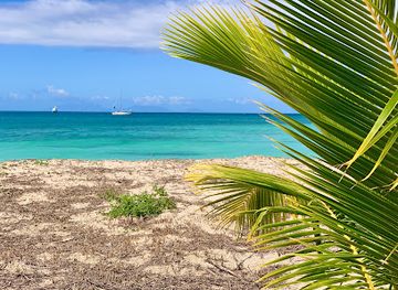 antigua-and-barbuda/jolly-harbour/landmark/antigua-island-paradise