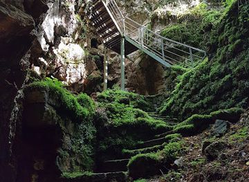 slovenia/coastal-karst/landmark/divaska-cave