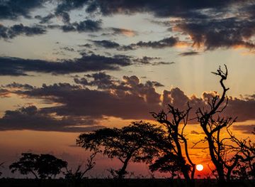 uganda/gulu/landmark/loremi-tours