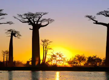 Madagascar Green Tours