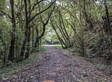 honduras/mosquito-coast/landmark/parque-nacional-la-tigra