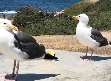 ohio/lake-erie-islands/landmark/turtle-island