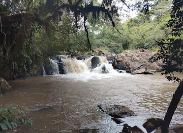 kenya/eastern-region/landmark/kakamega-forest