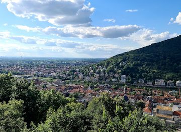germany/heidelberg/landmark/riesenstein