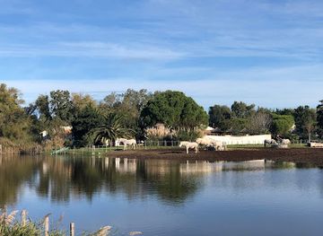 france/camargue/landmark/promenade-a-cheval-chez-elise