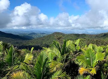 puerto-rico/yunque-national-forest/landmark/torre-britton