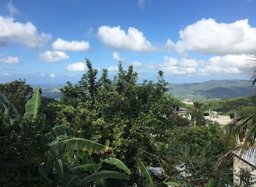 jamaica/manchester-plateau/landmark/ahhh-ras-natango-gallery-and-garden