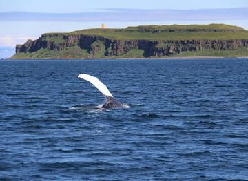 iceland/westfjords/landmark/laki-tours