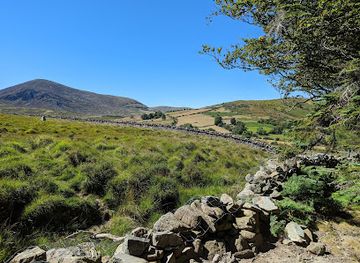 ireland/mourne-mountains/landmark/tollymore-forest-park
