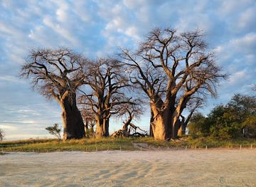 botswana/kgatleng-district/landmark/nxai-pan-national-park