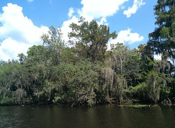 louisiana/houma/landmark/annie-miller-s-swamp-tours-charters