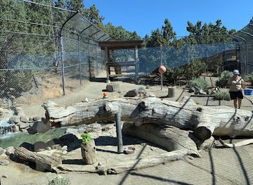 nevada/reno/landmark/animal-ark