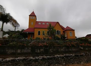 costa-rica/caribbean-coast/landmark/aquiares-coffee-community-experience