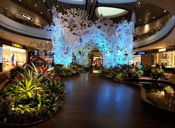 singapore/changi/landmark/orchid-garden-koi-pond