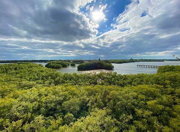 florida/st-petersburg/landmark/observation-tower