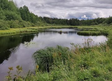 finland/espoo/landmark/espoo-central-park
