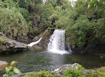 new-caledonia/bourail/landmark/cascade-de-ny