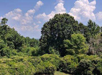virginia/blue-ridge-highlands/landmark/woodlawn-frank-lloyd-wright-s-pope-leighey-house