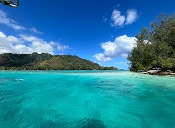 french-polynesia/moorea/landmark/corallina-tours