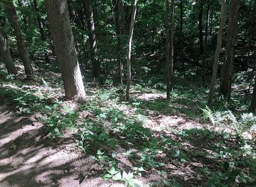 new-hampshire/hanover/landmark/angelo-tanzi-natural-preserve