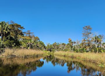florida/apalachicola/landmark/apalachicola-airboat-adventures-boat-tours