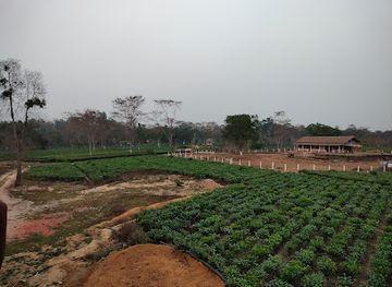 india/kaziranga-national-park/landmark/kania-engjai-village