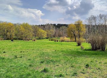 moldova/codru-national-park/landmark/alexandru-ciubotaru-national-botanical-garden