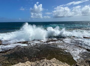 barbados/south-coast/landmark/island-safari-b-dos-ltd