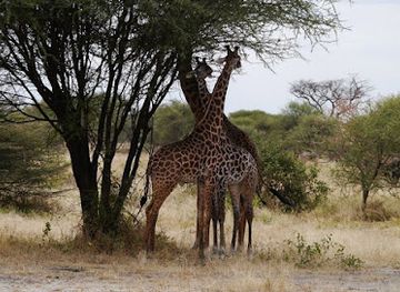 tanzania/northern-zone/landmark/northern-circuit-adventure