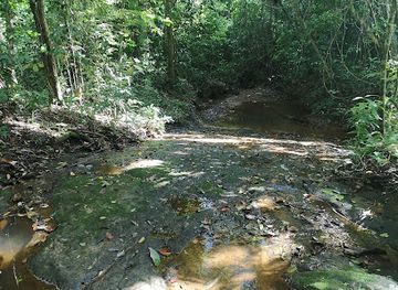 brunei/mukim-batu-apoi/landmark/wasai-kandal-hike