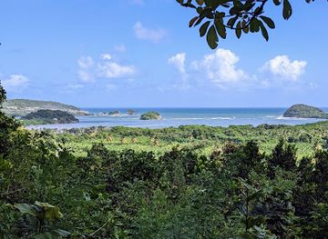 saint-lucia/anse-chastanet/landmark/mamiku-gardens