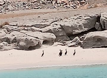 oman/musandam-governorate/landmark/beach-accessable-from-the-sea