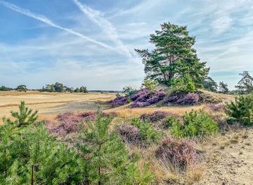 netherlands/veluwe-national-park/landmark/uitkijktoren-kootwijkerzand