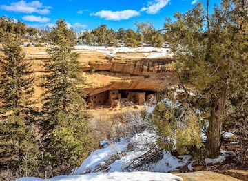 colorado/southwest-colorado/landmark/spruce-tree-house