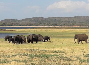 sri-lanka/minneriya-national-park/landmark/minneriya-wewa