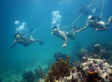 turks-and-caicos-islands/west-caicos/landmark/snuba-turks-and-caicos