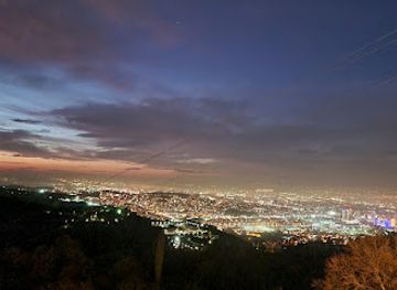 turkiye/bursa/osmangazi/landmark/inkaya-historical-plane-tree-610-tree-old