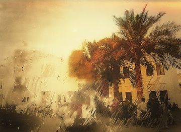 bahrain/tree-of-life/landmark/three-sad-tree