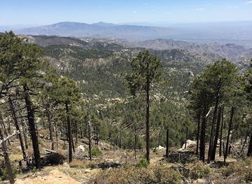 arizona/coronado-national-forest/landmark/santa-catalina-natural-area