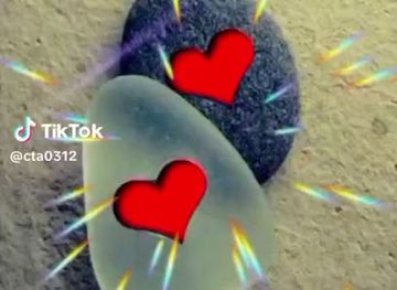 marshall-islands/mili/landmark/geography-of-the-marshall-islands