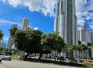 florida/miami/downtown-miami/landmark/miami-walk-of-fame